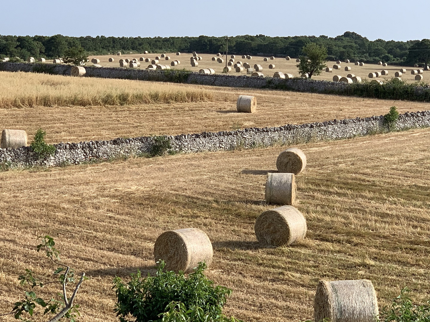 Masseria Chianca